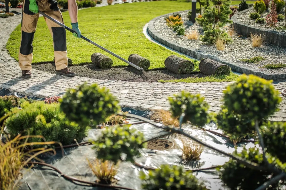 Rollrasen verlegen neben gepflastertem Weg: Arbeiter verteilt Erde mit Rechen und platziert Grasrollen